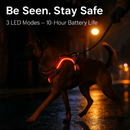 Light Up Dog Harness with Rechargeable LED Lights and Handle by LJGDeals