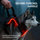 Light Up Dog Harness with Rechargeable LED Lights and Handle by LJGDeals