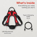 Light Up Dog Harness with Rechargeable LED Lights and Handle by LJGDeals