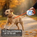Retractable Dog Leash with LED Light and RGB Glow by LJGDeals