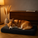 Dog Bed Soft Plush Cushion for Cozy Warm Pets