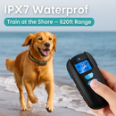 Dog Training Collar with Remote Control for Dogs by LJGDeals