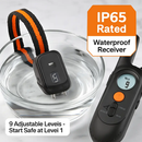 Dog Training Collar IP65 Waterproof with 3 Channels by LJGDeals