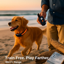 Dog Training Collar IP65 Waterproof with 3 Channels by LJGDeals