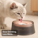 Spill-Proof Slow Water Dog Cat Bowl for Pets by LJGDeals