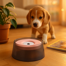Spill-Proof Slow Water Dog Cat Bowl for Pets by LJGDeals