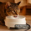 Heated Water Bowl for Pets – Ceramic USB-Powered by LJGDeals