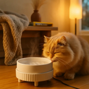Heated Water Bowl for Pets – Ceramic USB-Powered by LJGDeals