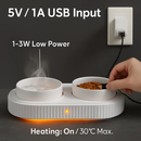 Heated Water Bowl for Pets – Ceramic USB-Powered by LJGDeals