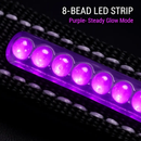 Light Up Dog Collar with LED Night Safety Colors by LJGDeals