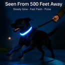 Light Up Dog Collar with LED Night Safety Colors by LJGDeals