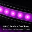 Light Up Dog Collar with LED Night Safety Colors by LJGDeals