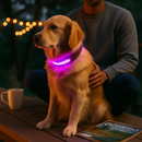 Light Up Dog Collar with LED Night Safety Colors by LJGDeals