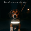 Pet Mesh Harness and Leash Set with Reflective Chest Strap by LJGDeals