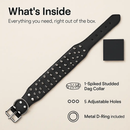 Spiked Dog Leather Collar: Everyday Wear by LJGDeals