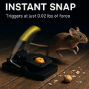 6Packs Mouse Traps Reusable Rat Rodent Killer Effective Pest Control Mouse Catcher Mice Snap Kill Trap by LJGDeals