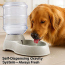 Pet Water Dispenser for Gravity Refill System by LJGDeals