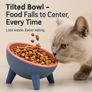 Raised Tilted Elevated Cat Food Bowl for Easy Eating by LJGDeals