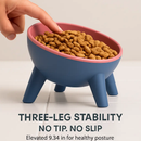 Raised Tilted Elevated Cat Food Bowl for Easy Eating by LJGDeals