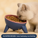 Raised Tilted Elevated Cat Food Bowl for Easy Eating by LJGDeals