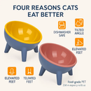 Raised Tilted Elevated Cat Food Bowl for Easy Eating by LJGDeals