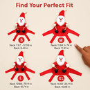 Pet Christmas Costume: Red Riding Santa Coat for Dogs by LJGDeals
