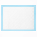 Dog Training Pads for Puppy Potty Training by LJGDeals