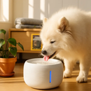 Pet Water Fountain for Cats - Quiet Flow by LJGDeals