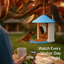 Bird Feeder Camera with AI Bird Identification by LJGDeals