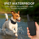 Dog Training Collar Receiver - Safe, Gentle Training Aid by LJGDeals