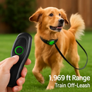 Waterproof Dog Training Collar with Receiver and Beep by LJGDeals
