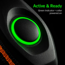 Waterproof Dog Training Collar with Receiver and Beep by LJGDeals