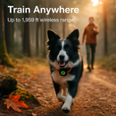 Waterproof Dog Training Collar with Receiver and Beep by LJGDeals