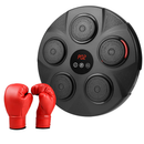Boxing Wall Target Pad with Gloves for Home Training by LJGDeals