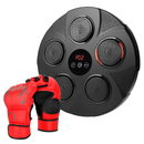 Boxing Wall Target Pad with Gloves for Home Training by LJGDeals