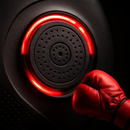 Boxing Wall Target Pad with Gloves for Home Training by LJGDeals