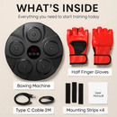 Boxing Wall Target Pad with Gloves for Home Training by LJGDeals