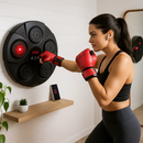Boxing Wall Target Pad with Gloves for Home Training by LJGDeals