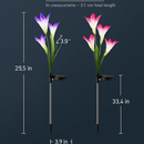Lily Solar Garden Lights with Color-Changing LEDs by LJGDeals