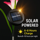 Lily Solar Garden Lights with Color-Changing LEDs by LJGDeals
