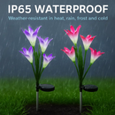 Lily Solar Garden Lights with Color-Changing LEDs by LJGDeals