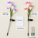 Lily Solar Garden Lights with Color-Changing LEDs by LJGDeals