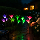 Lily Solar Garden Lights with Color-Changing LEDs by LJGDeals