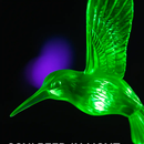 Solar Hummingbird Wind Chime Color Changing by LJGDeals
