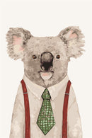 Gentleman Sr. Koala