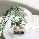 GobekUsa Geometric Golden Ball Glass Vase for Floral Arrangements and Home Decor