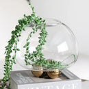 GobekUsa Geometric Golden Ball Glass Vase for Floral Arrangements and Home Decor
