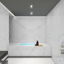 MSI Glacier Pearl Tub and Shower Panels