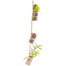 Glass Planter Rope Hanging Small Planter 55" Long (Set of 3)