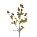 Globe Amaranth Spray